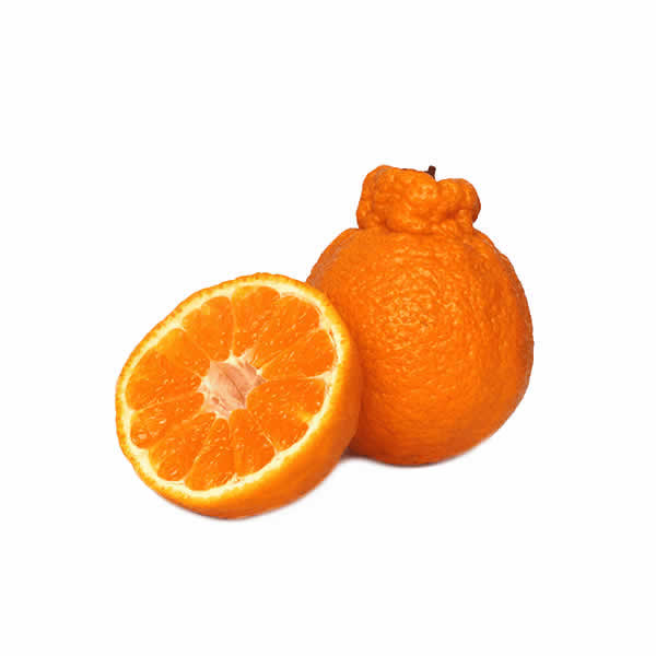 1554-Frescos-Frutas-Naranja-Feo
